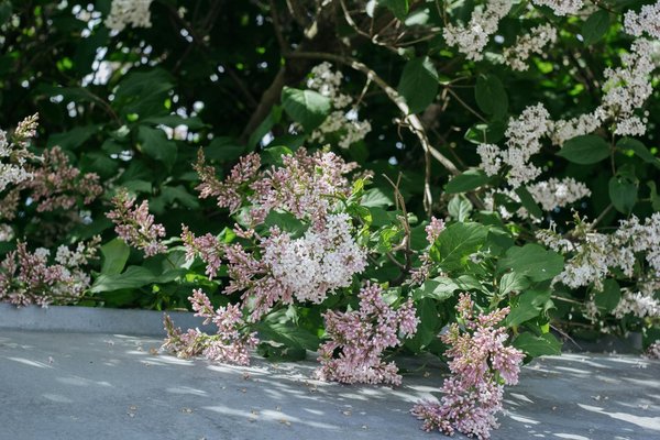 Fabricant de meubles en bois design : confiez-lui la réalisation de votre table basse